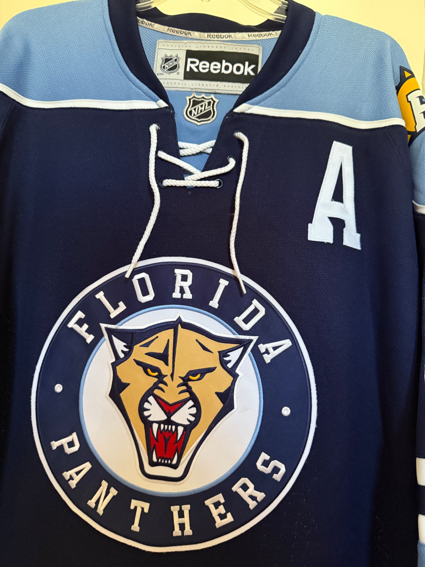 Panthers Steph Weiss “Jet Blue” Alternate Reebok Alternate XL (READ NWT)