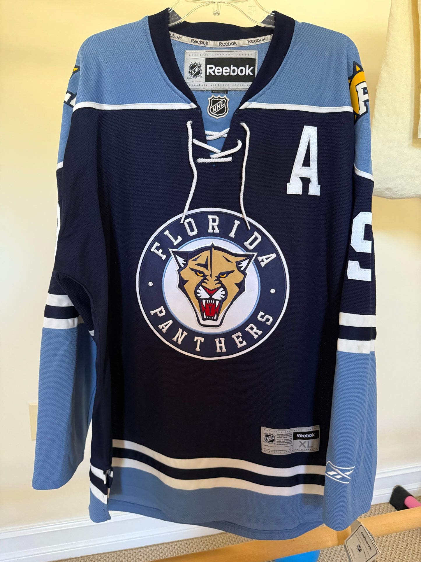 Panthers Steph Weiss “Jet Blue” Alternate Reebok Alternate XL (READ NWT)