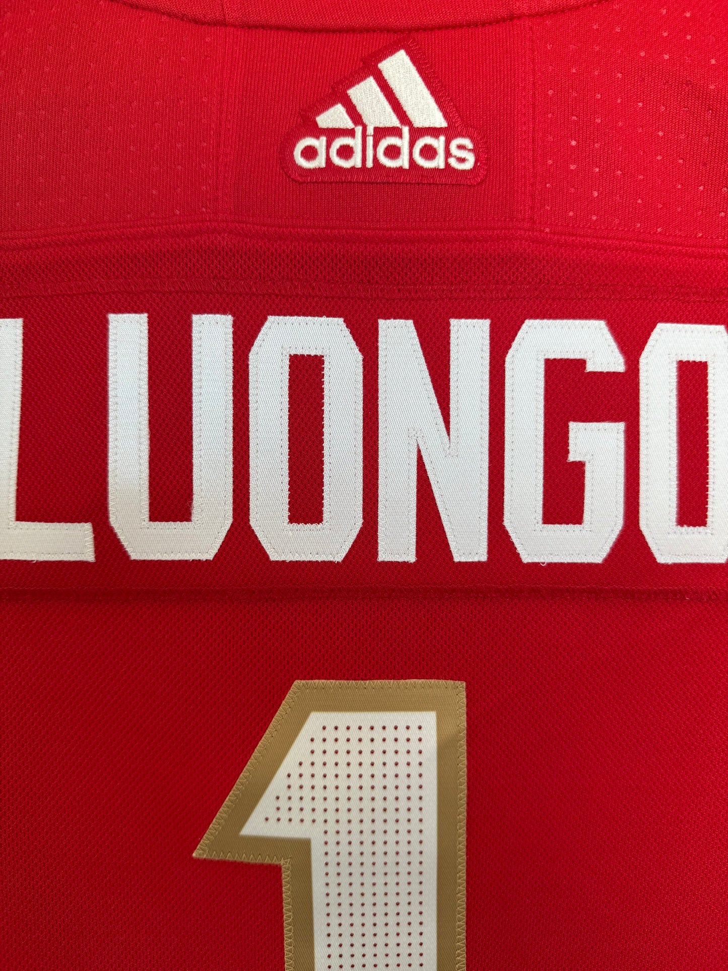 Panthers Roberto Luongo Adidas Climalite Authentic Red 46 (NWT)